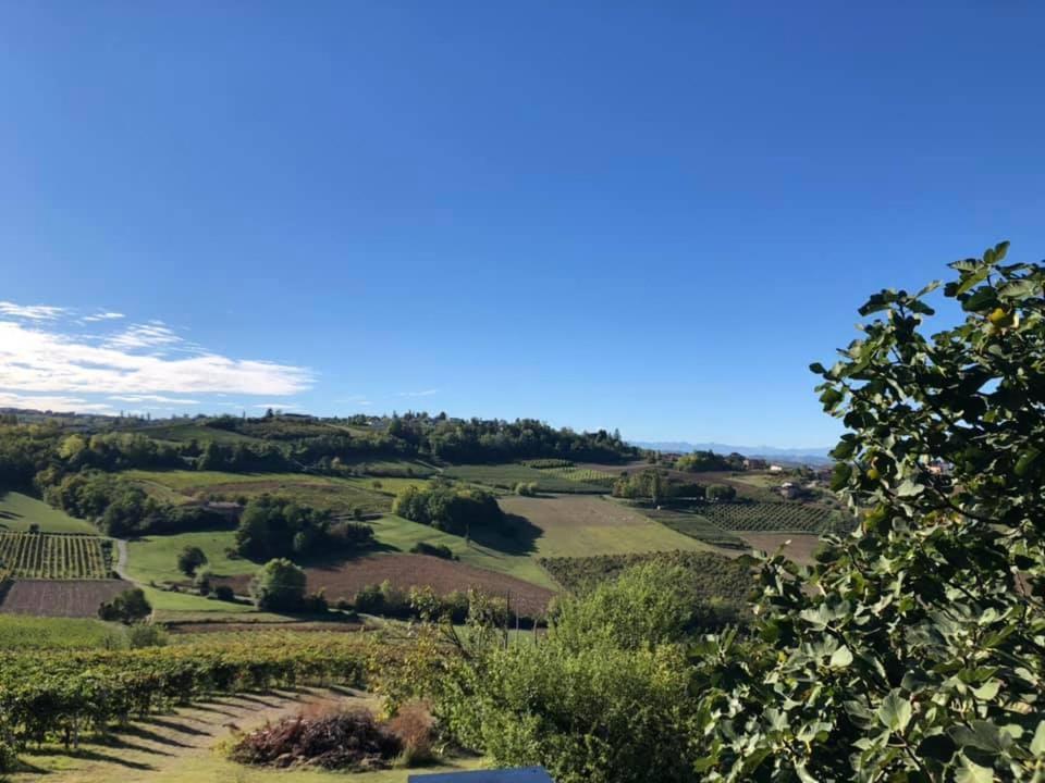 Agriturismo Podere La Piazza Costigliole d'Asti Eksteriør bilde