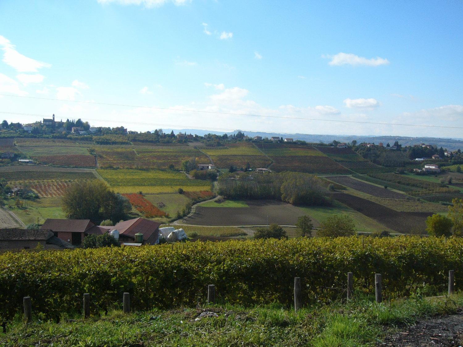 Agriturismo Podere La Piazza Costigliole d'Asti Eksteriør bilde